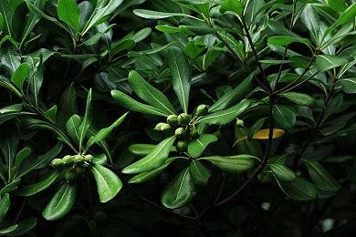 《地下城与勇士：决斗》公布新角色预告片 帅哥“剑鬼”登场